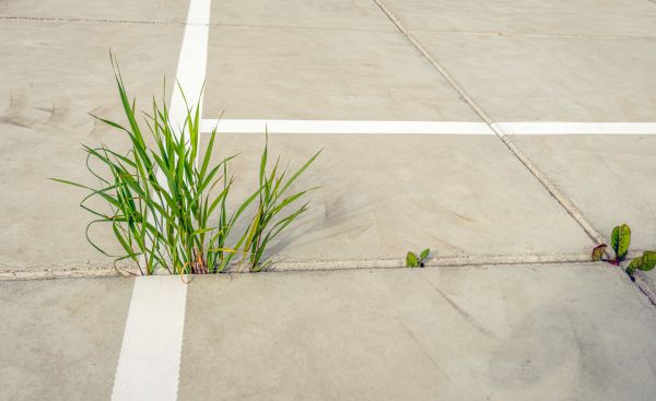 Concrete Parking Installation in Westerville